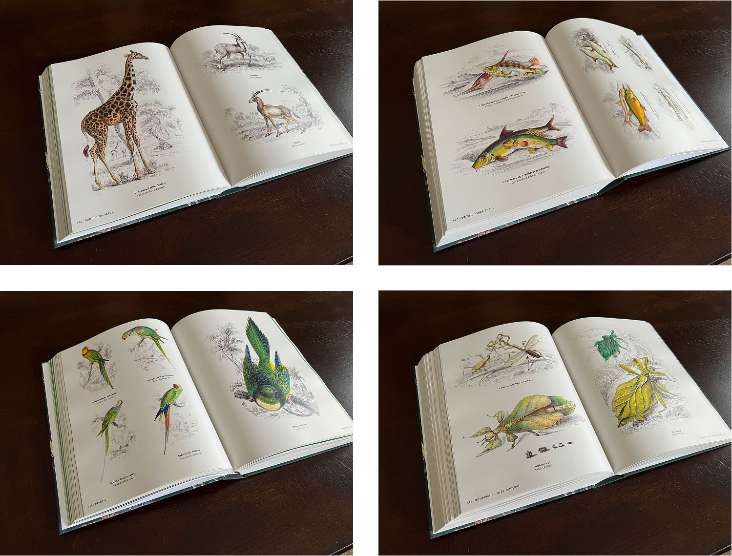 Book photos