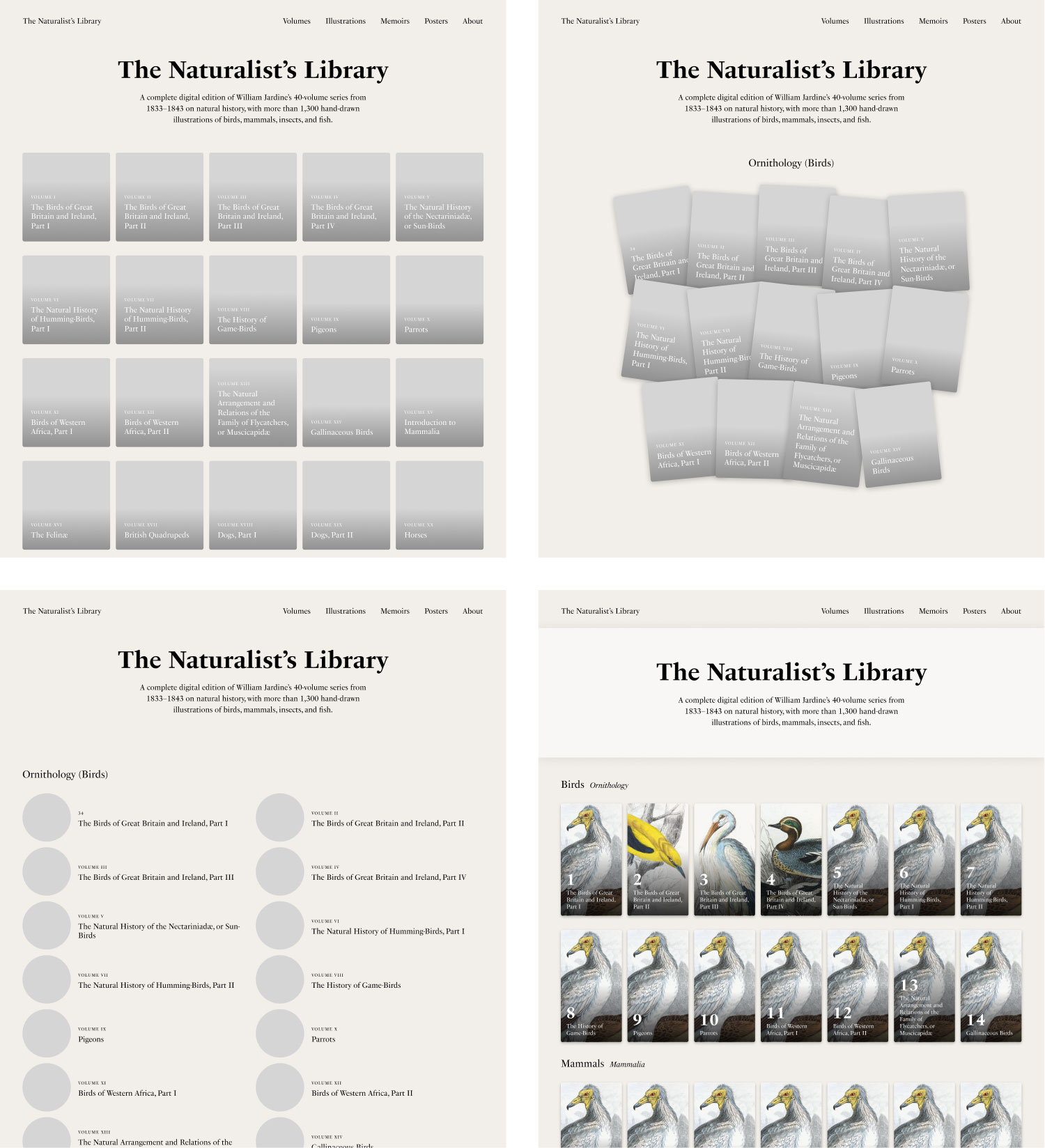 Homepage iterations
