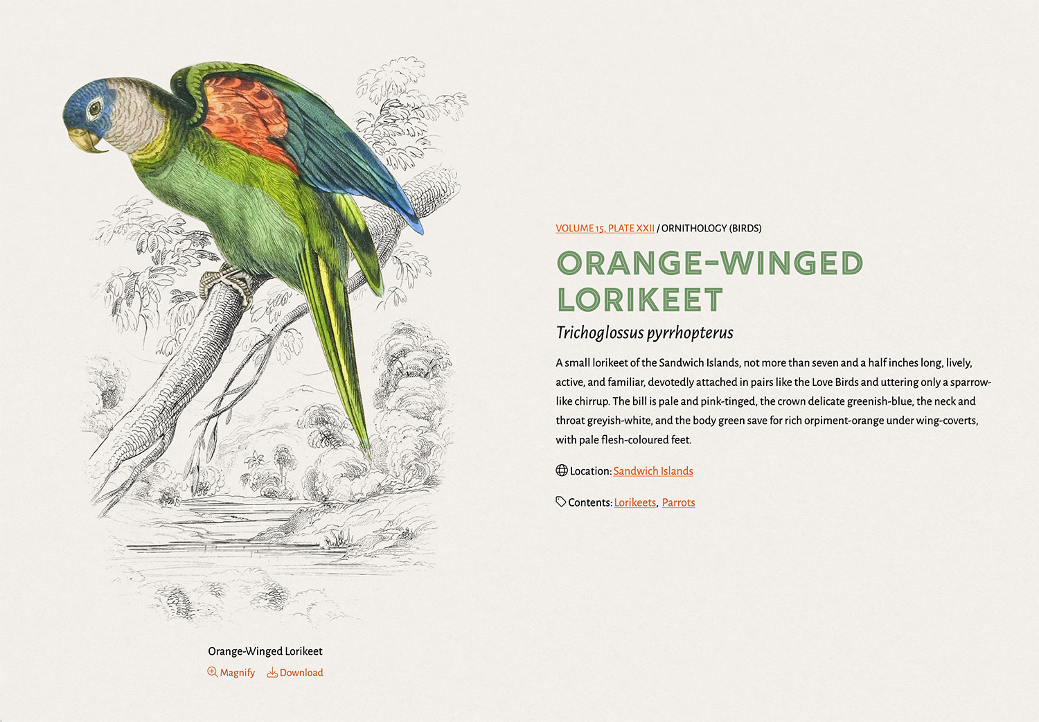 Illustrations details