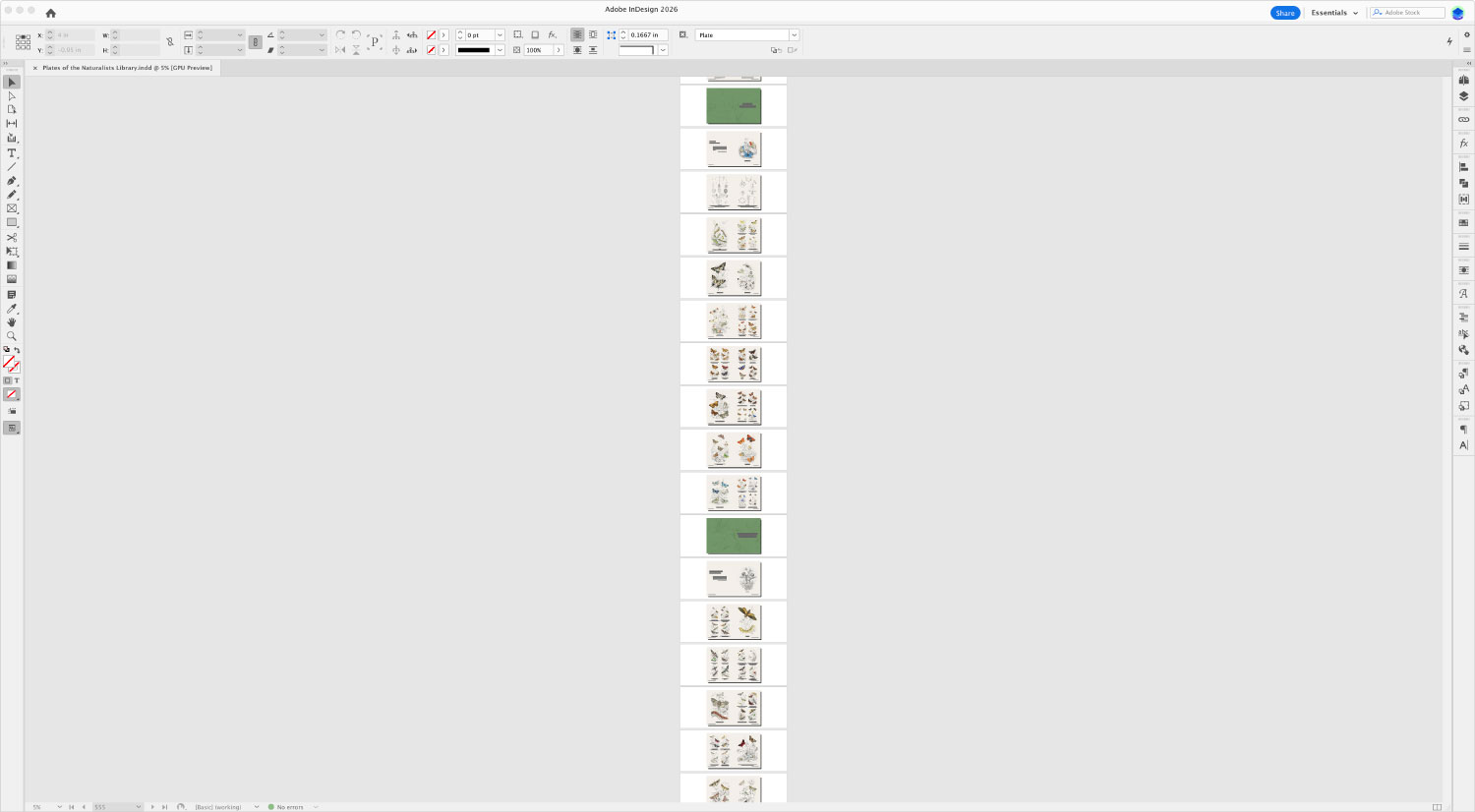 InDesign