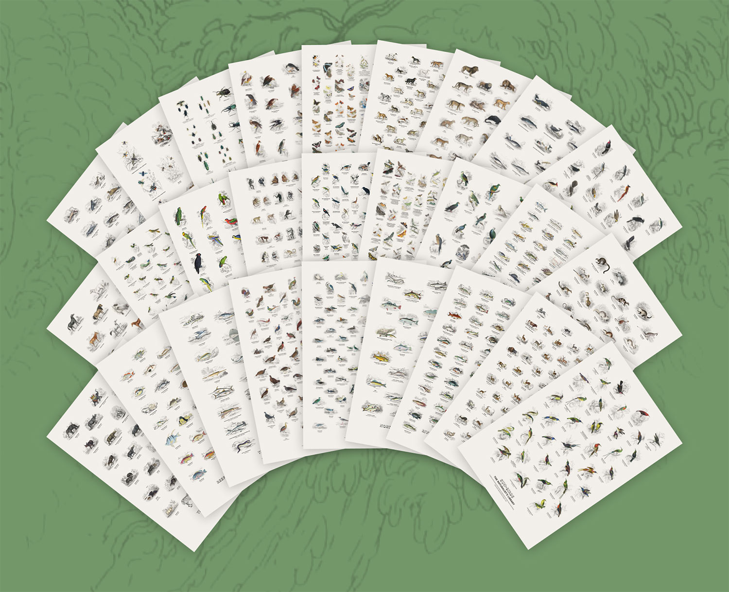Posters