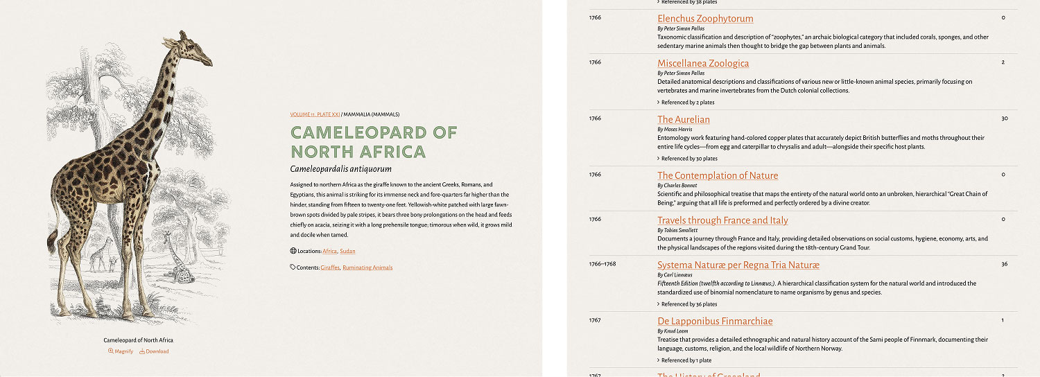 Screenshots of summaries