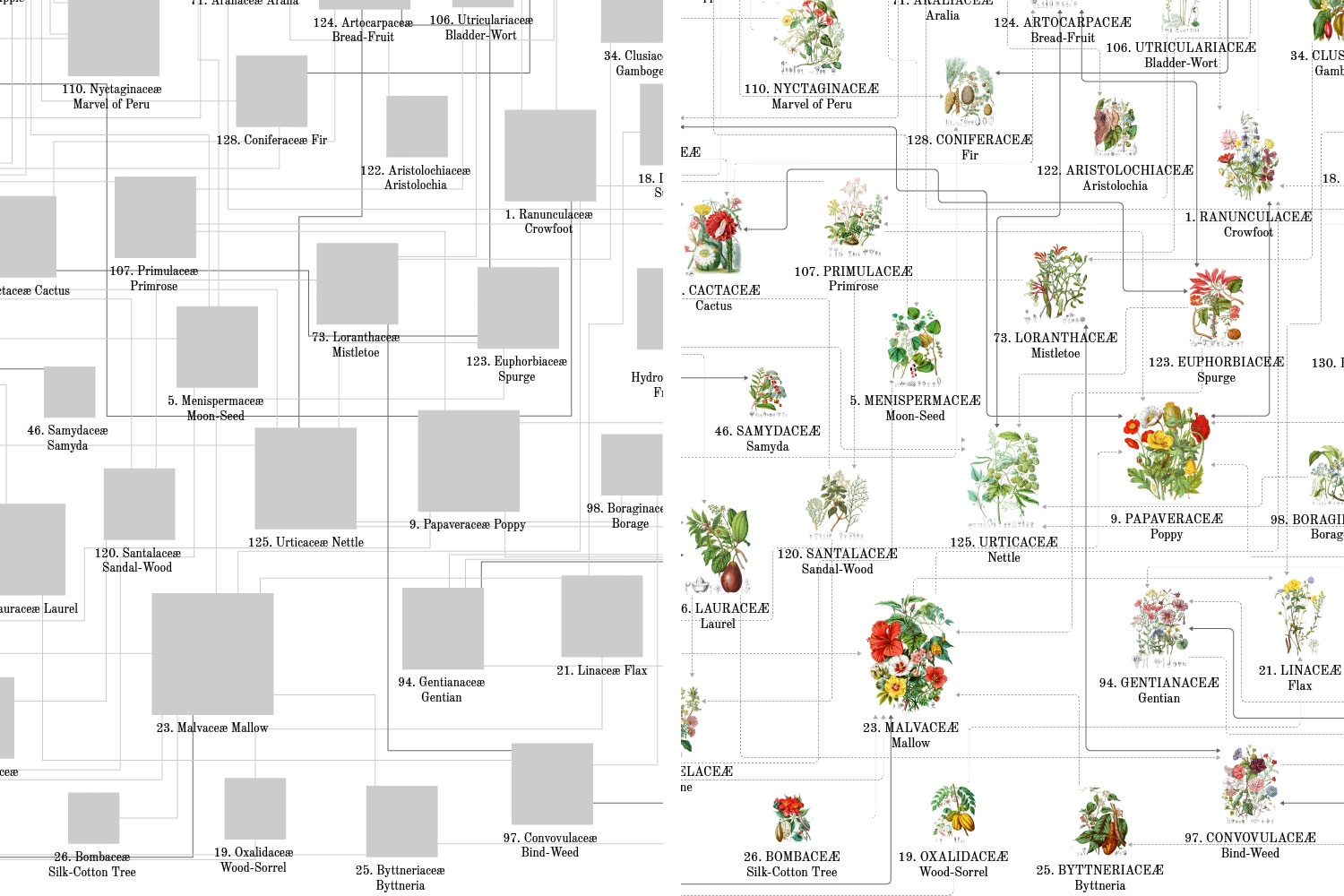 Original export from Cytoscape (left) and final result in Illustrator