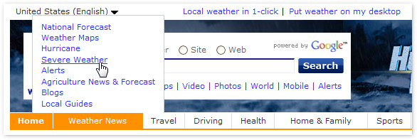 Screenshot of search box obscured by fly-up menu