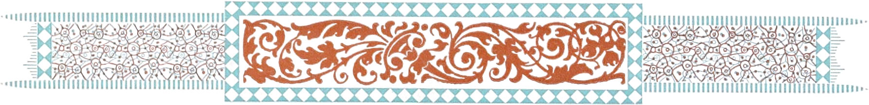 Ornate border comprising reddish-brown and teal colors