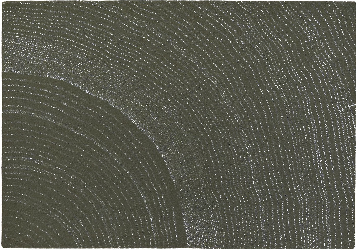 Shell-bark hickory wood print