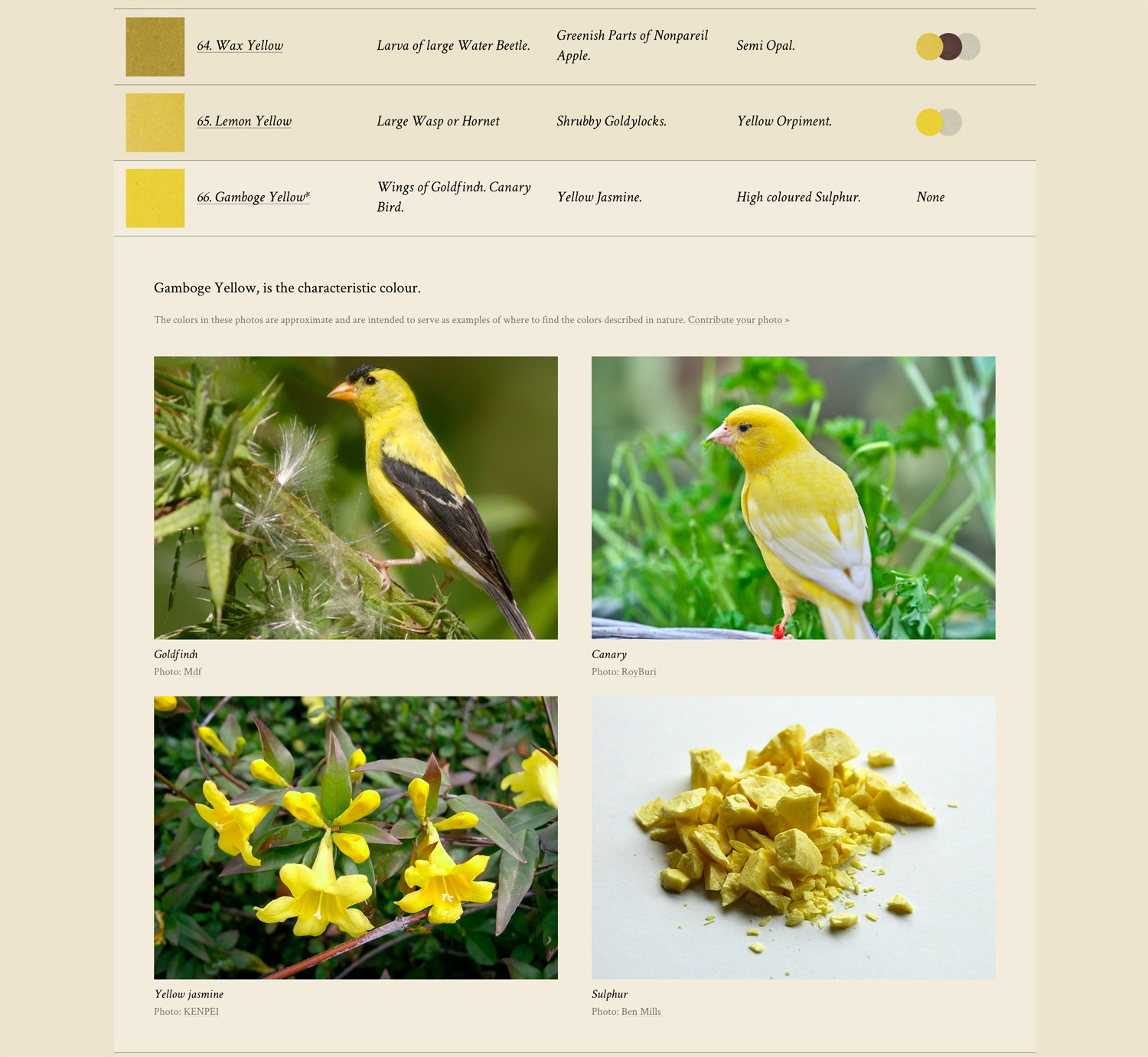 Screenshot of yellows