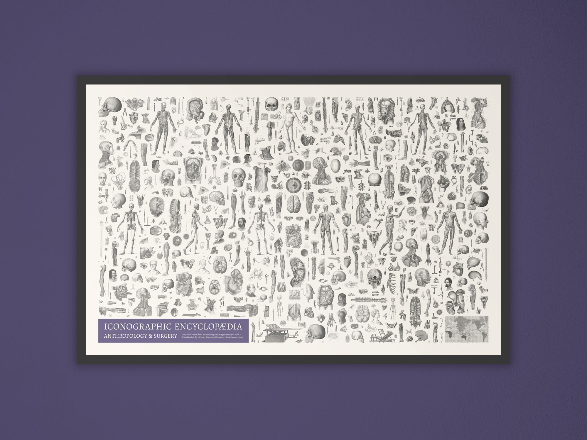 Poster hanging on wall