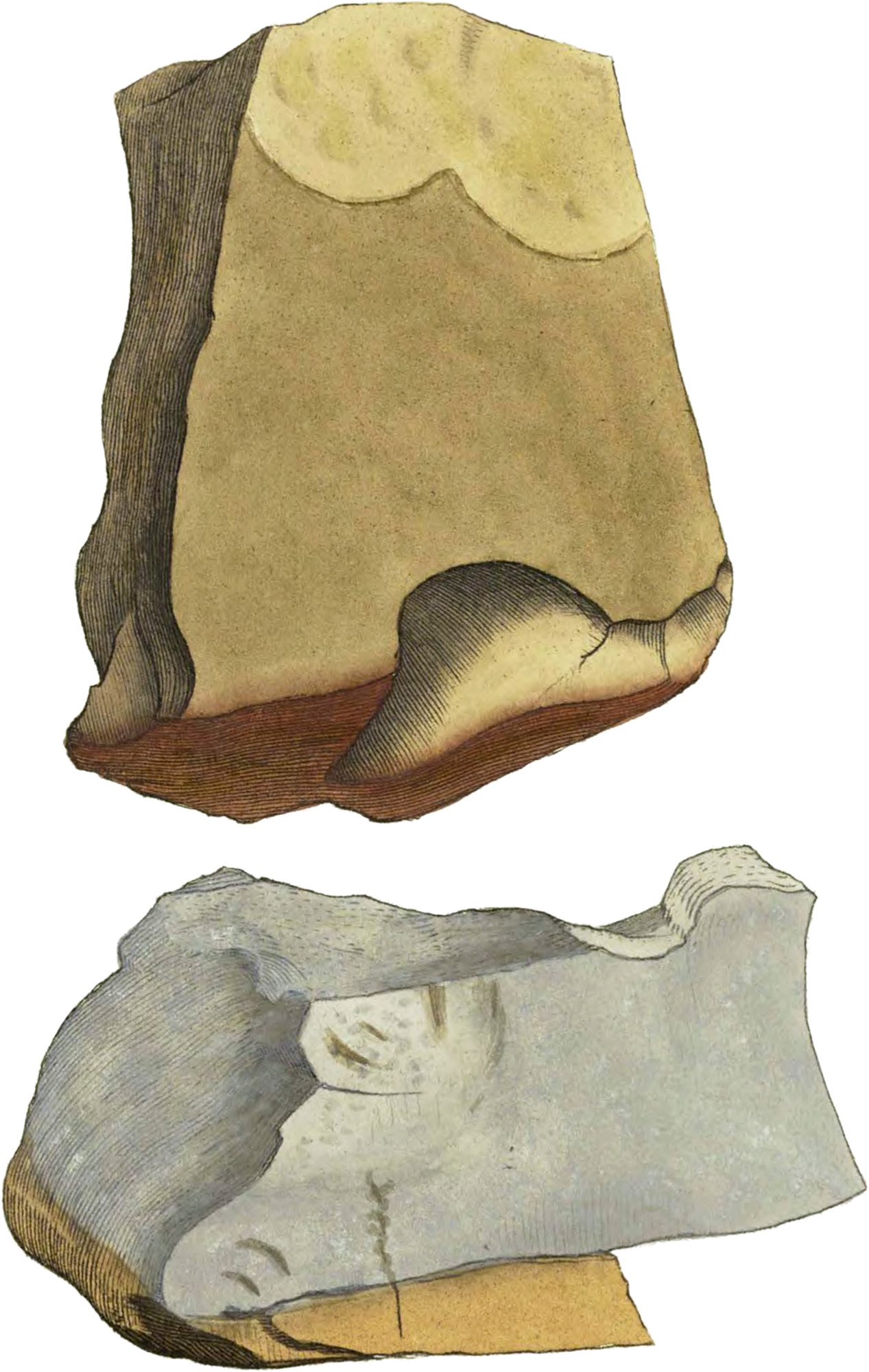 Fuller’s Earth British & Exotic Mineralogy