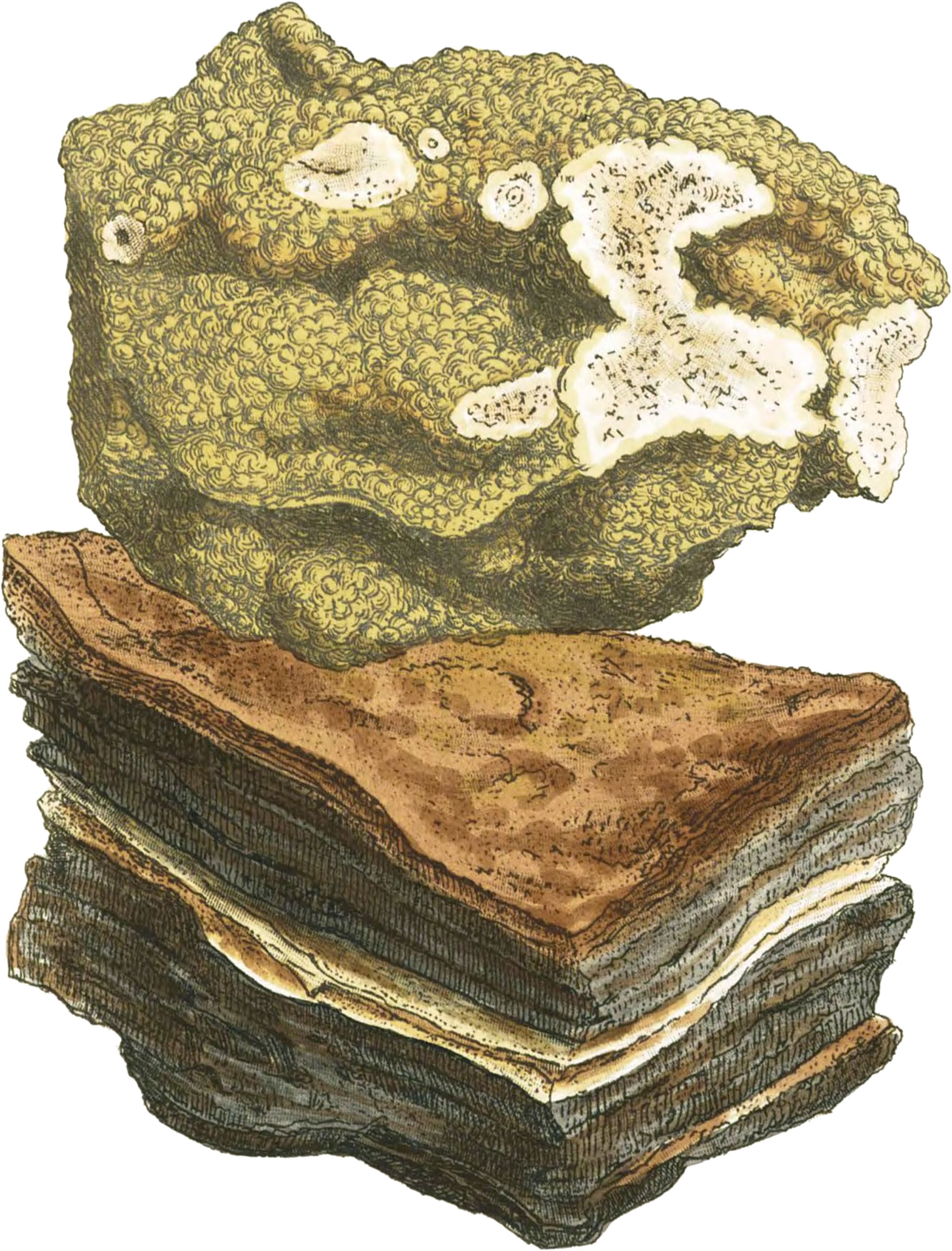 Crystallized Carbonate of Zinc British & Exotic Mineralogy
