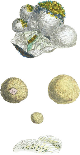 Sulphate of Barytes