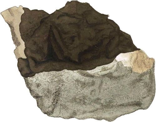Elastic Bitumen, or Fossil Caout-chou