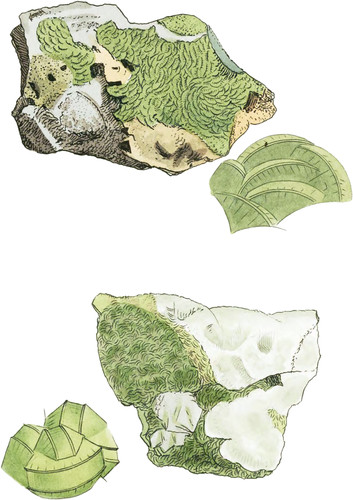 Prehnite