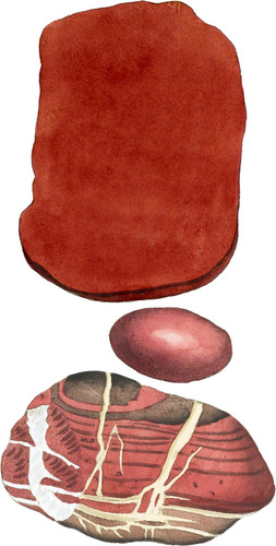 Red Jasper