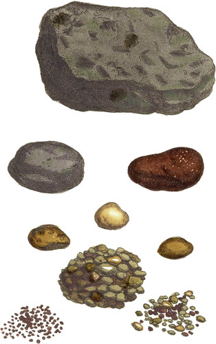 Shoad Tin and Gravel Stones*