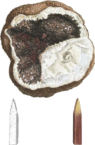 Oxide of Manganese