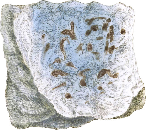 Sulphate of Lime
