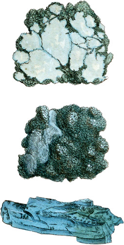 Birjusa (Turquoise)