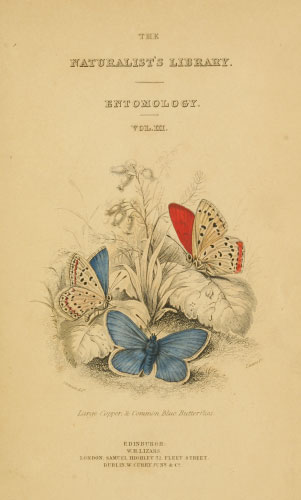 Volume 10 title page
