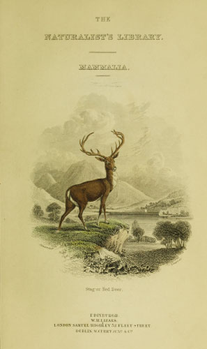 Volume 11 title page