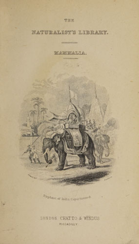 Volume 13 title page