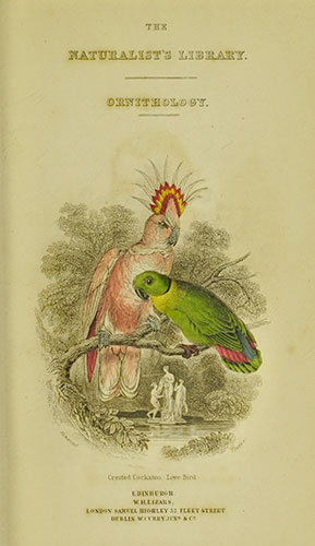 Volume 15 title page
