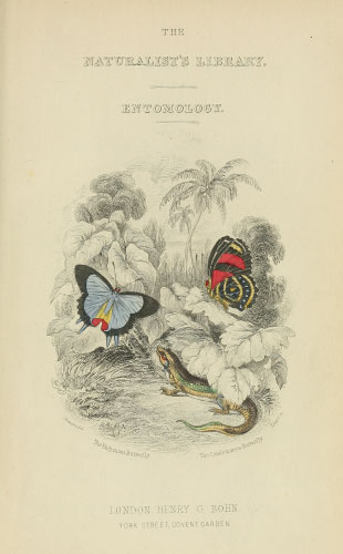 Volume 18 title page