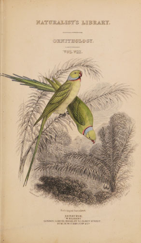 Volume 19 title page