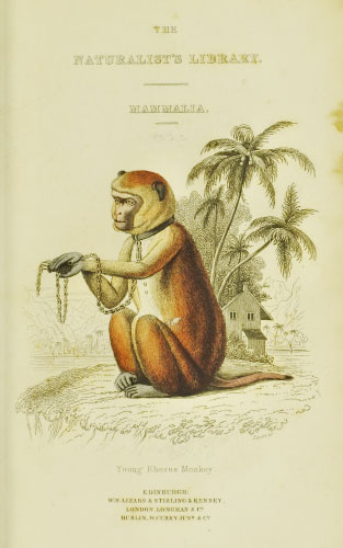 Volume 2 title page