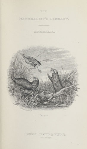 Volume 22 title page