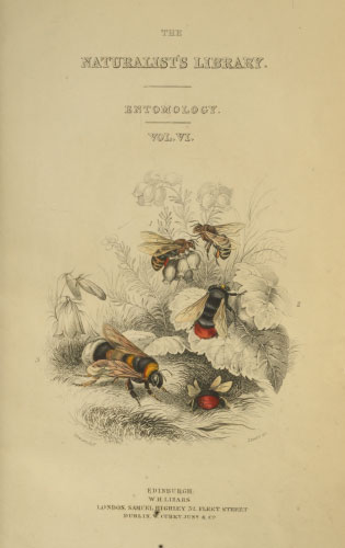 Volume 26 title page
