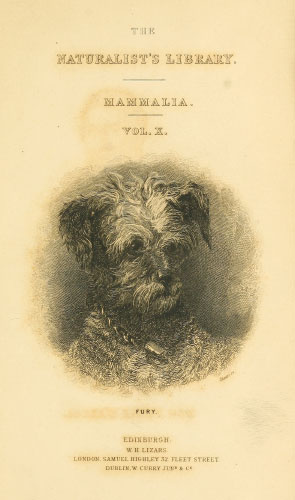 Volume 28 title page