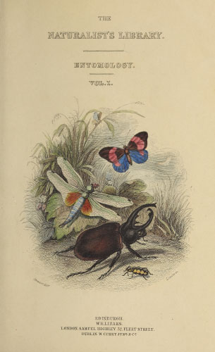 Volume 29 title page