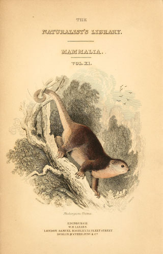 Volume 30 title page