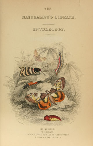 Volume 33 title page