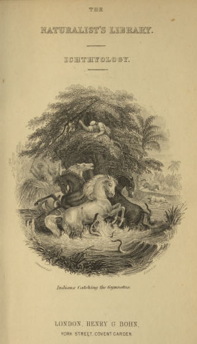 Volume 38 title page