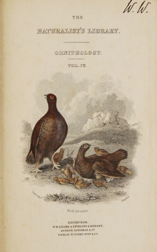 Volume 6 title page