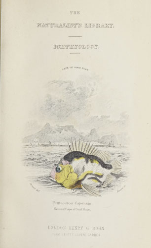 Volume 7 title page