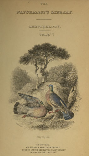 Volume 9 title page