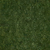 Duck Green swatch