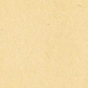 Cream Yellow swatch