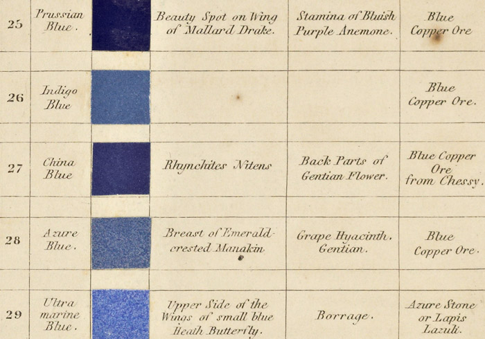 Horse Color Cross Chart